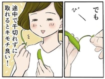 スナップエンドウの筋取り、めんどくさいけどキモチ良い！／季節を味わう､夫婦の台所