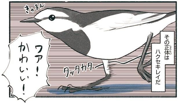 ワァ!かわいい!