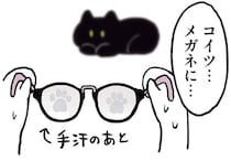 だっこ中にまさかの一撃。メガネに興味津々な黒猫ろん