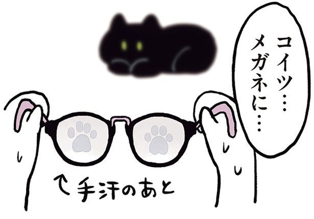 だっこ中にまさかの一撃。メガネに興味津々な黒猫ろん
