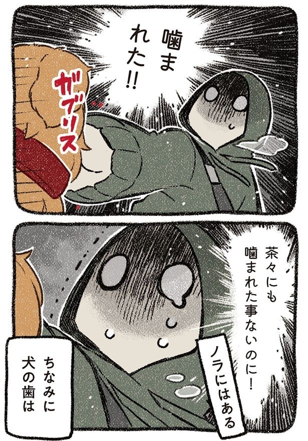 噛まれた!!