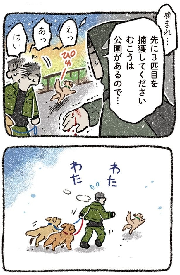 先に3匹目を捕獲してください