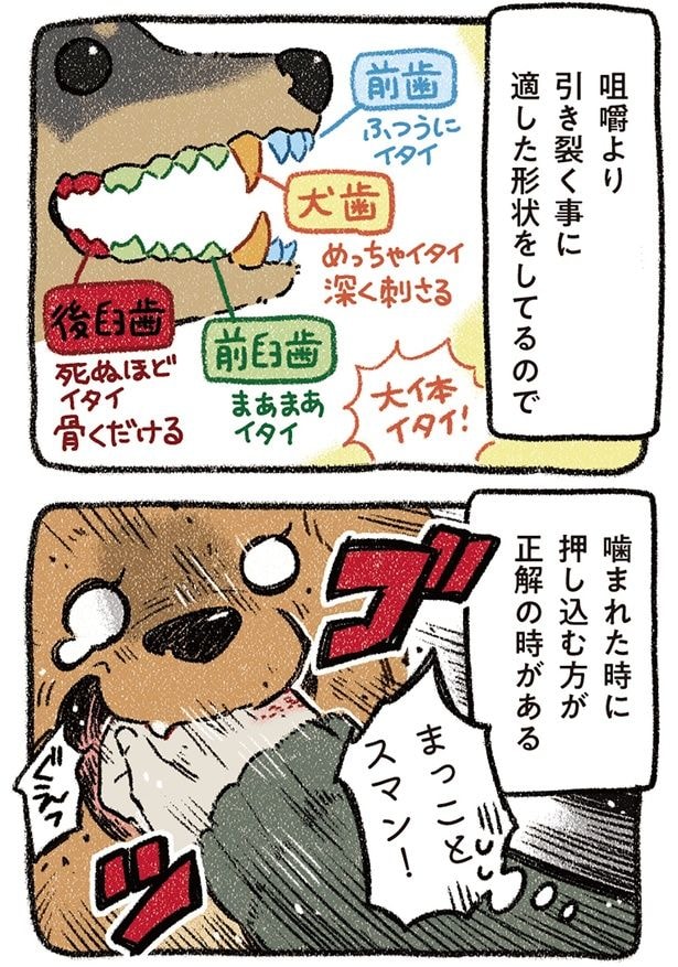 まっことスマン！