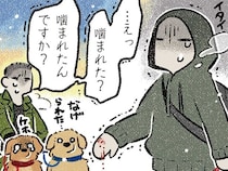 えっ噛まれた…？大型犬の管理ができていない飼い主に遭遇した話／ドベとノラ4（7）