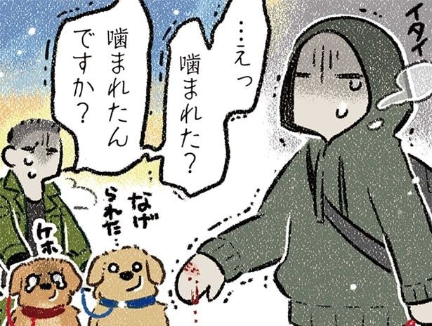 えっ噛まれた…？大型犬の管理ができていない飼い主に遭遇した話／ドベとノラ4（7）