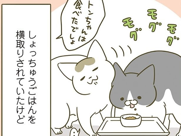 横取りされていたけれど…