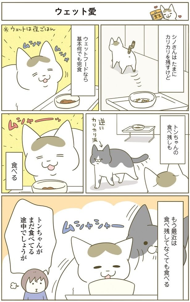 トンちゃんがまだ食べてる途中でしょうが