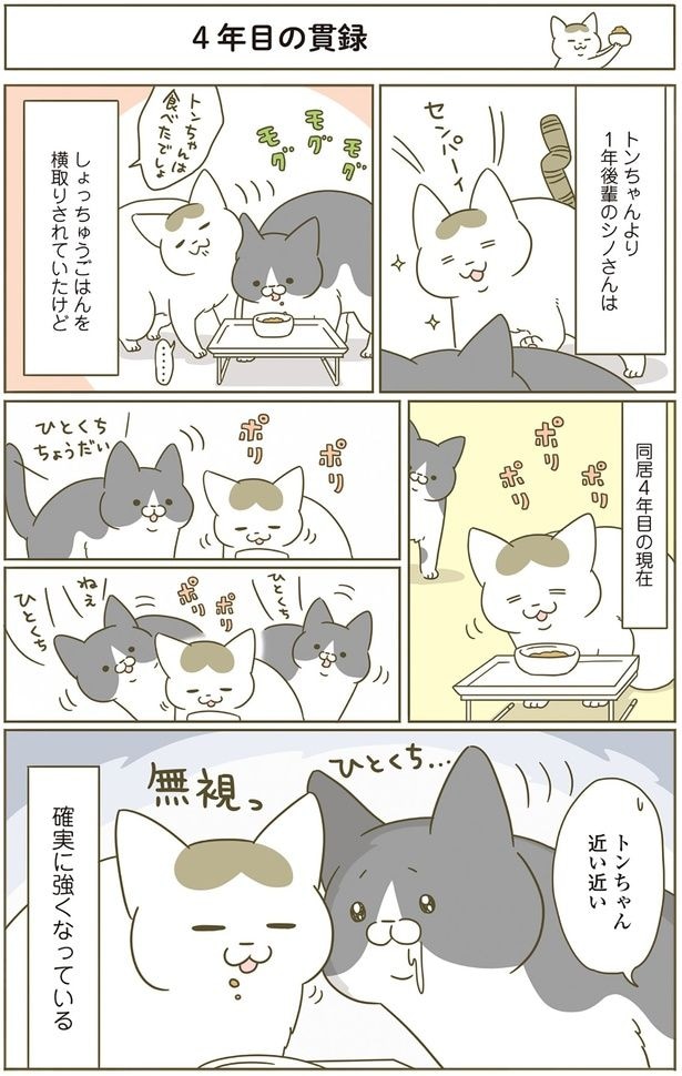 同居4年目の現在