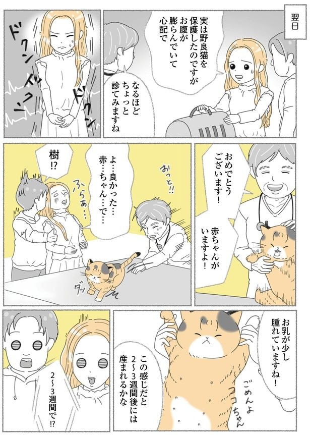 お腹が膨らんでいて
