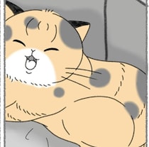 お腹のふくらみが心配な野良猫。気になって動物病院で診てもらうと？
