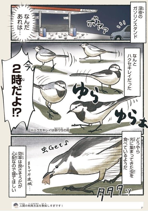 心配なので寝てほしい