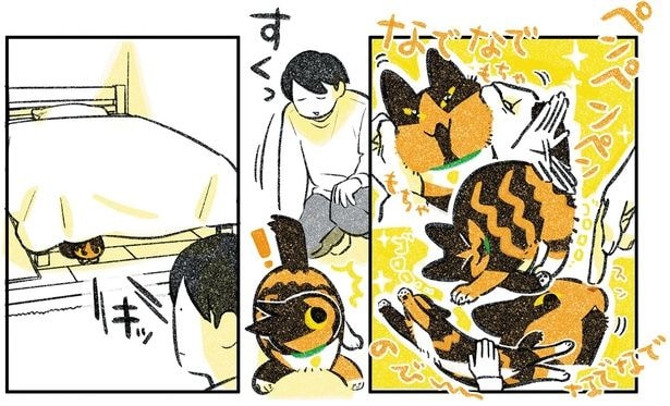 立ち上がると