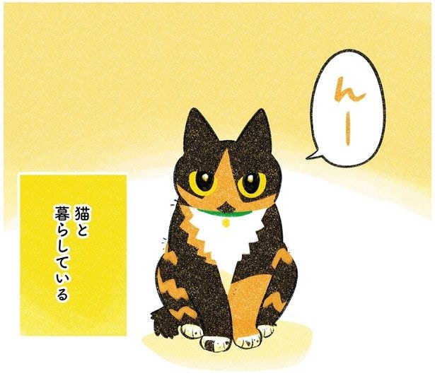 猫と暮らしている