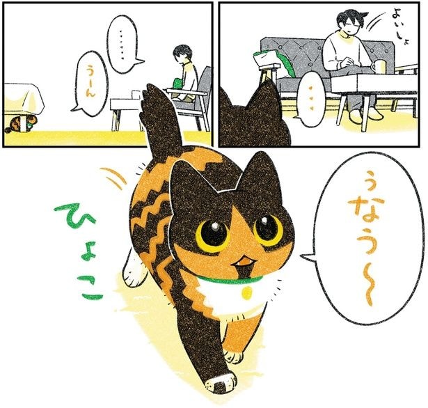 ひょこ