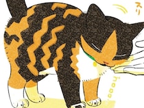 何度も呼んで、撫でて、話して。ゆっくり少しずつ猫と仲良くなっていこう