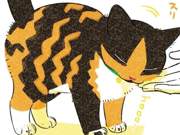 何度も呼んで、撫でて、話して。ゆっくり少しずつ猫と仲良くなっていこう