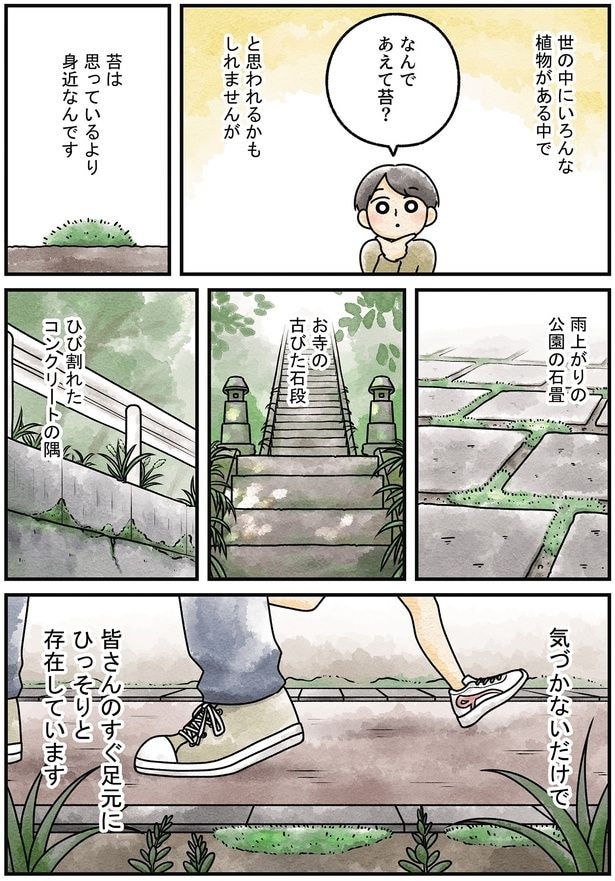 なんであえて苔?