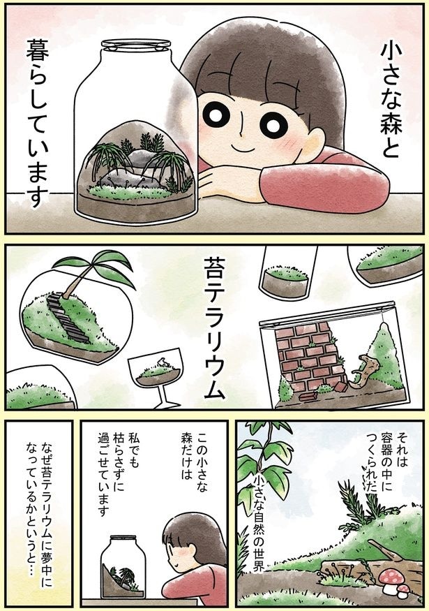 苔テラリウム