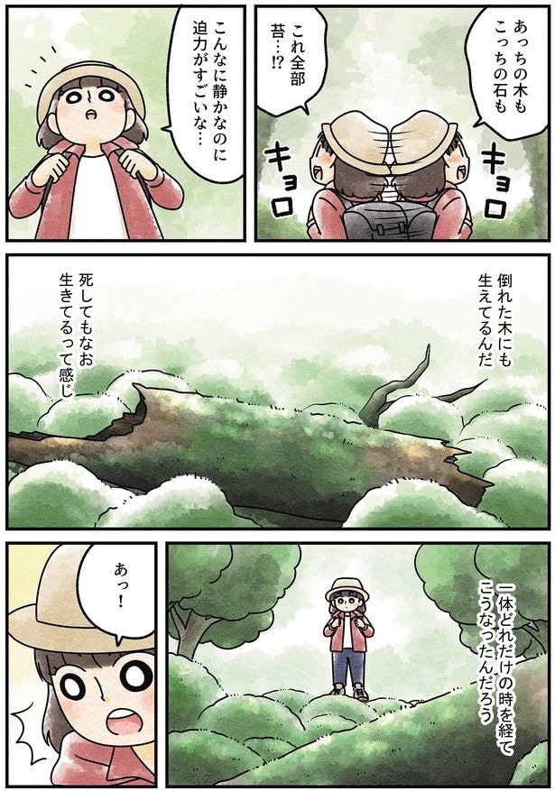 これ全部苔…!?