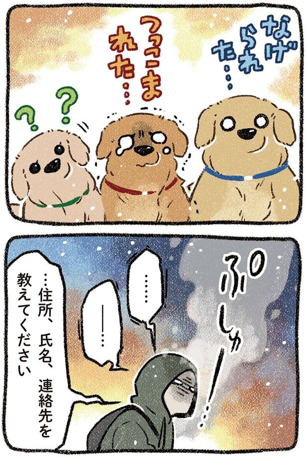 連絡先を教えてください
