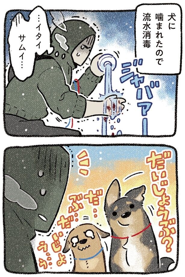噛まれたので流水消毒