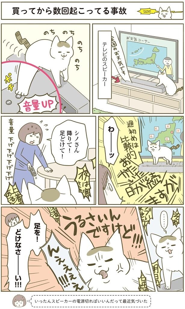 シノさん降りて！足どけて！