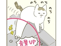 テレビ用スピーカーの上をのんびり歩く猫が、たびたび引き起こす思わぬ事故