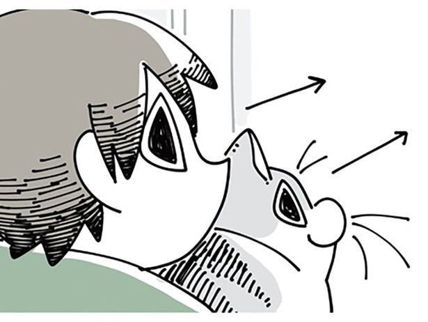 何かを目で追う猫。目線を合わせてみると大抵見つかるものは