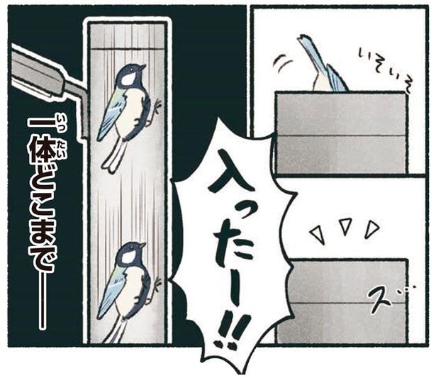 入ったー！！