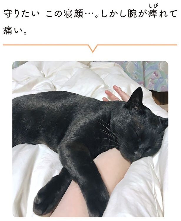 守りたい　この寝顔…