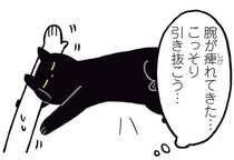 バレる？バレない？腕枕で眠る黒猫ろんとの静かな攻防