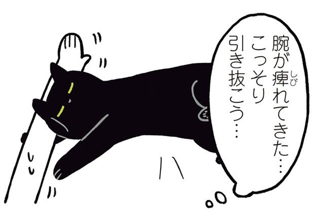 バレる？バレない？腕枕で眠る黒猫ろんとの静かな攻防