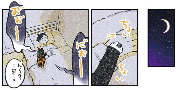 猫…？