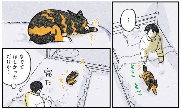 なでてほしかっただけか…