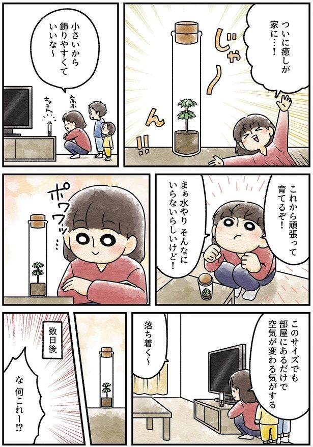 ついに癒しが家に…！
