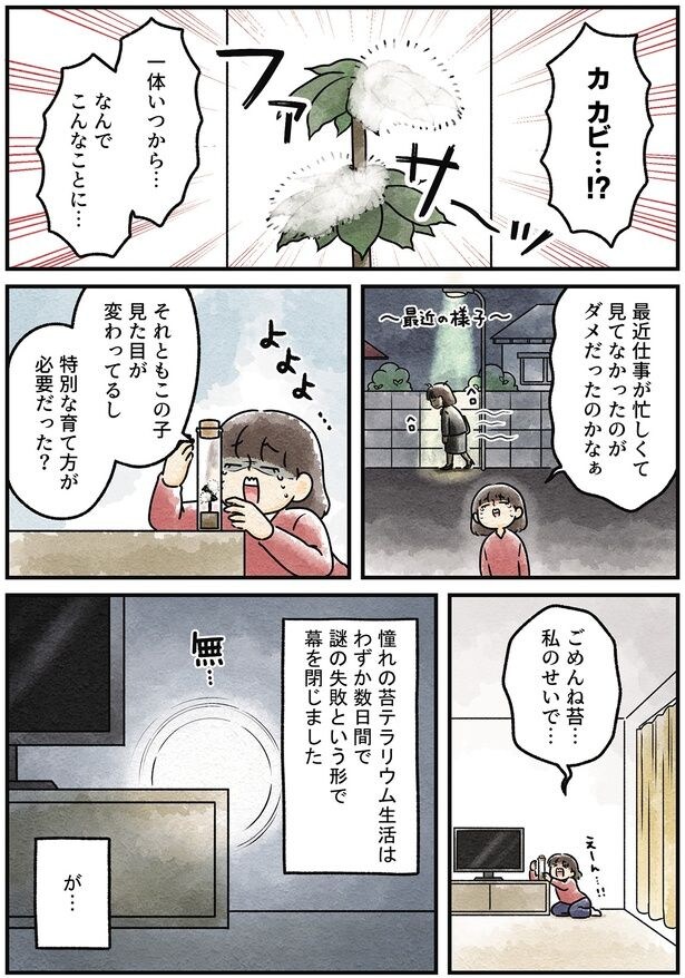 カビ…！？