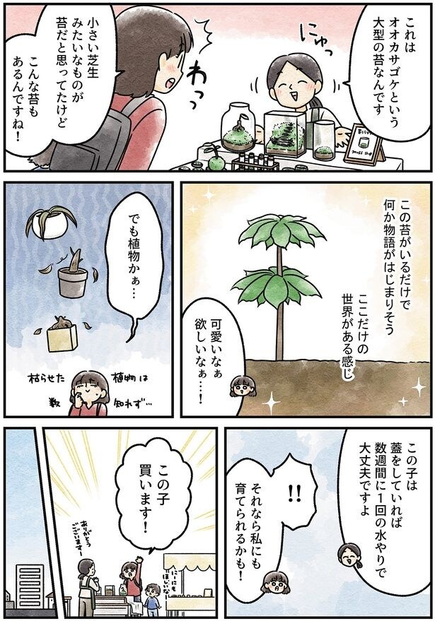 欲しいなぁ…！