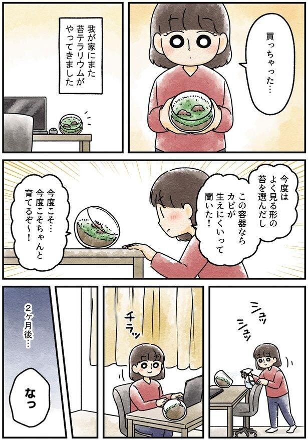 今度こそ…