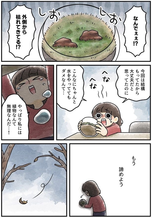 もう諦めよう