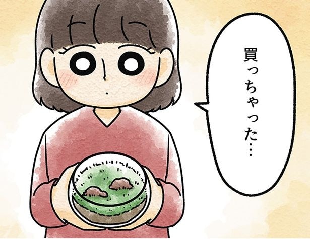 バタバタの毎日に癒しを！憧れていた「小さな緑」を育ててみたら…／苔テラリウムはじめました（2）