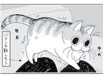 くつろぐ場所が特殊すぎる。わざわざ落ち着かない場所に来るネコ