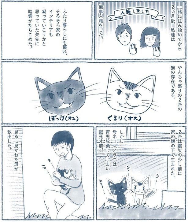 家の縁の下で生まれた