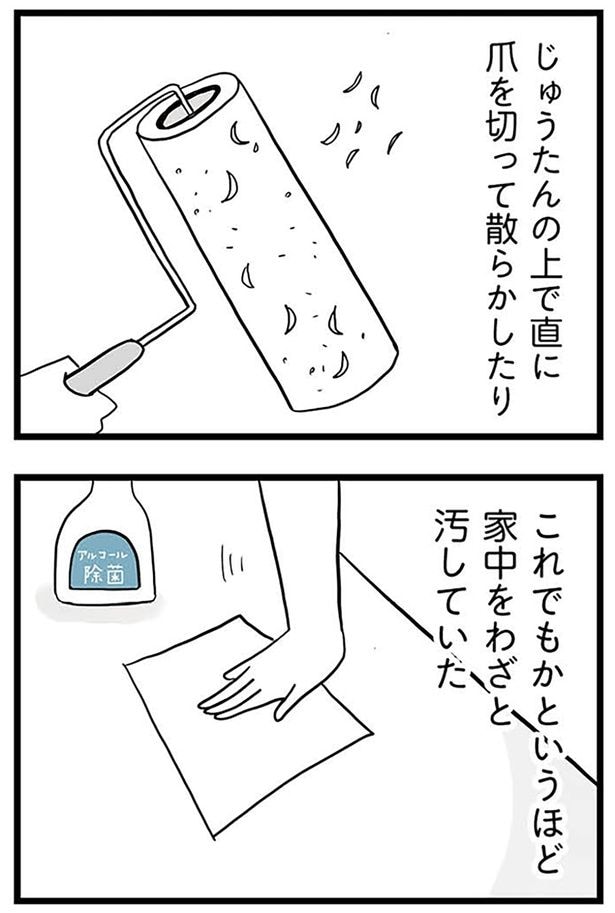 家中をわざと汚していた