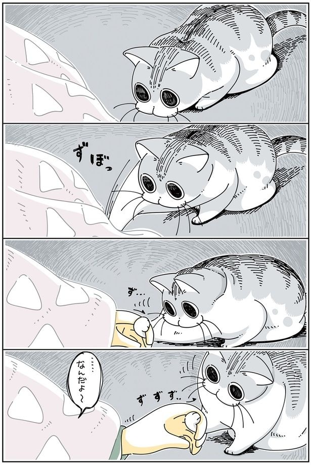 ずぼりっ