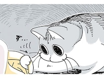 気になるの？ こたつから出たり入ったりする飼い主の手にちょっかいを出すネコ