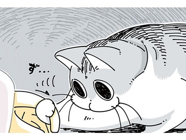 気になるの？ こたつから出たり入ったりする飼い主の手にちょっかいを出すネコ