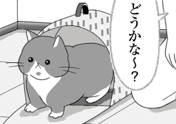 どうかな～？