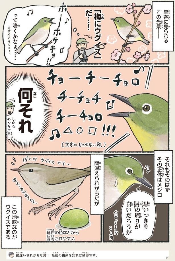 「梅にウグイス」だ…！