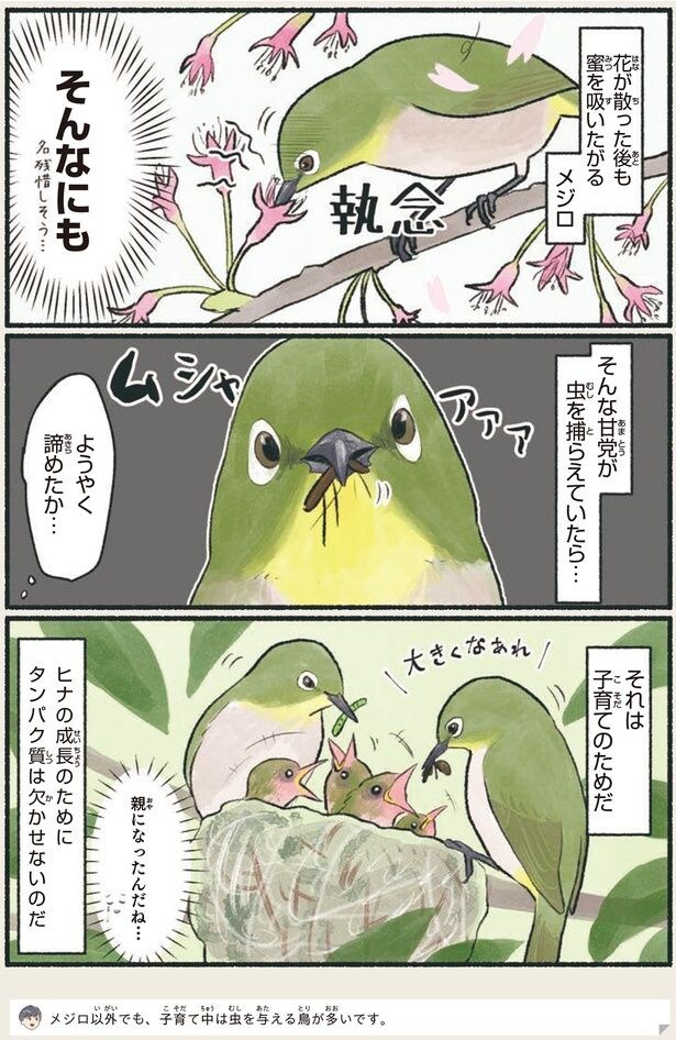 ようやく諦めたか…