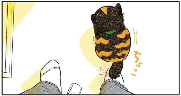 ちょこ